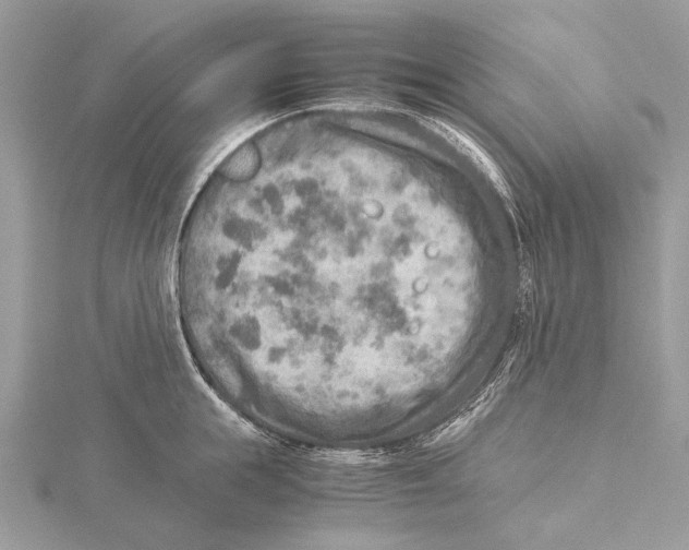 X0000115440855200912020943