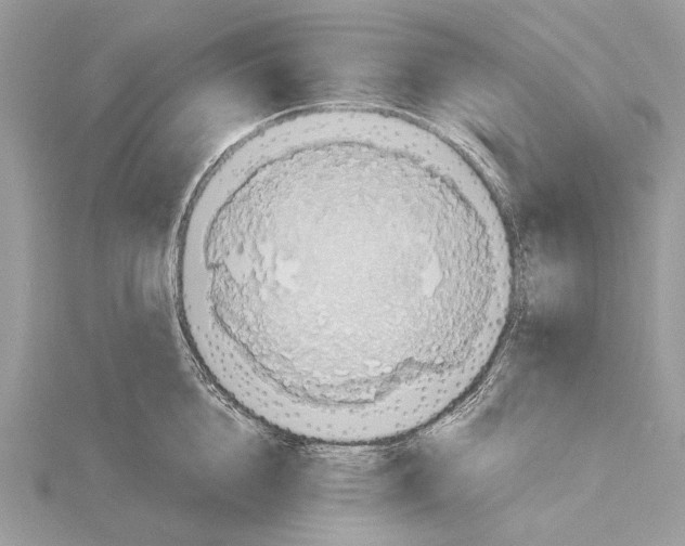 X0000115440856200912020943