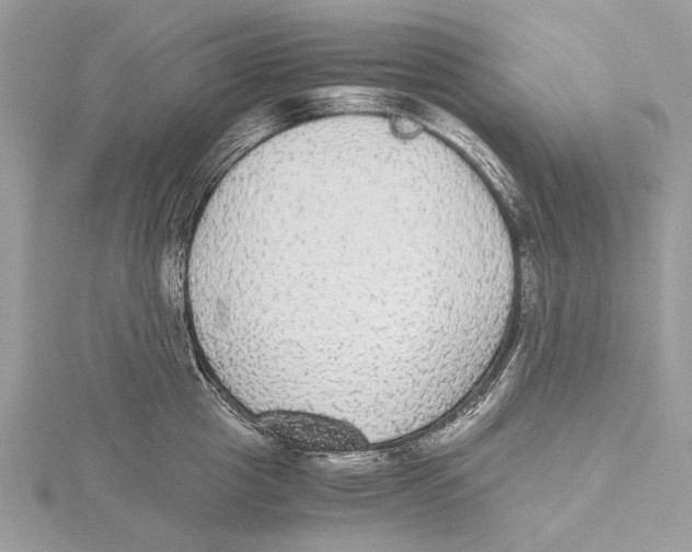 X0000115440857200912020943