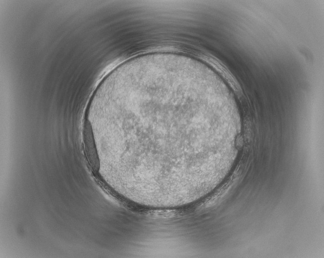 X0000115440858200912020943