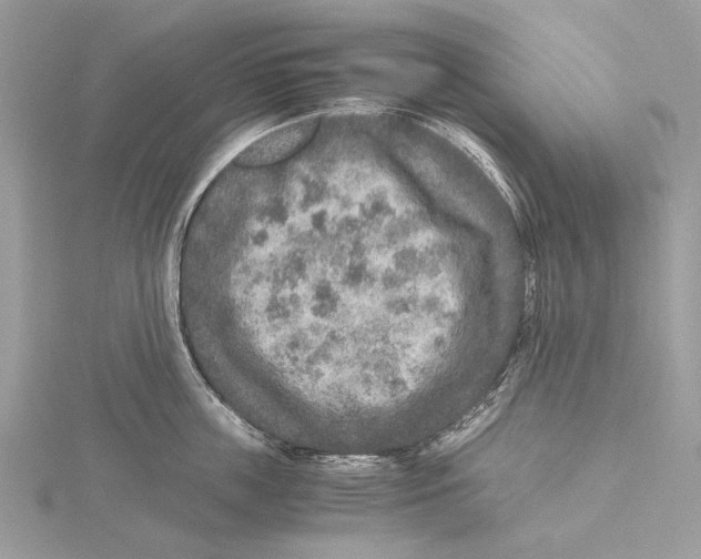 X0000115440859200912020943