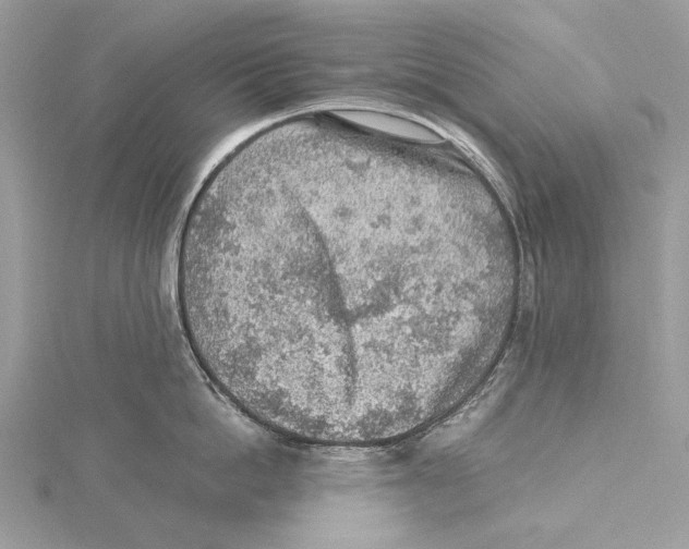 X0000115440862200912020943