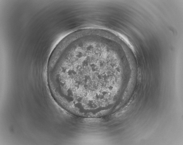 X0000115440863200912020943