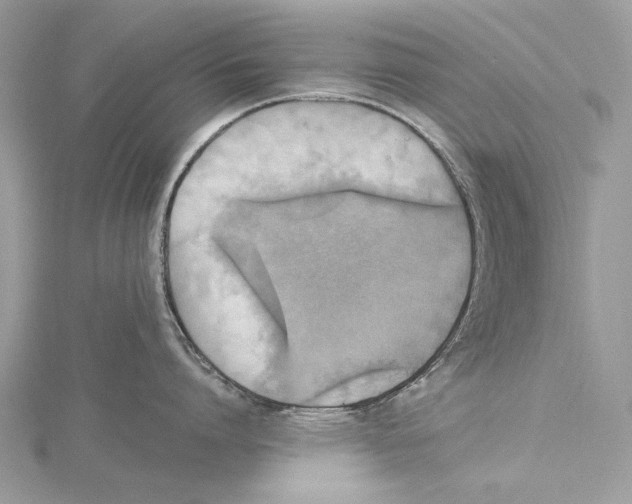 X0000115440864200912020943