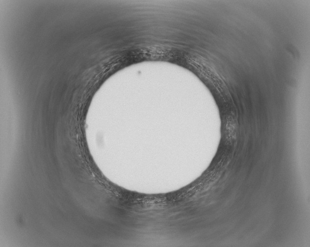 X0000115440865200912020943