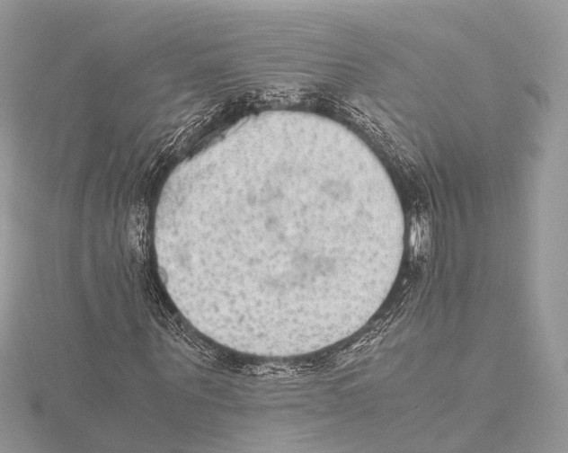 X0000115440867200912020943