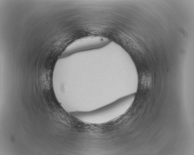 X0000115440868200912020943