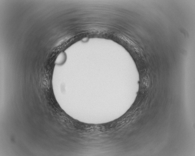 X0000115440869200912020943