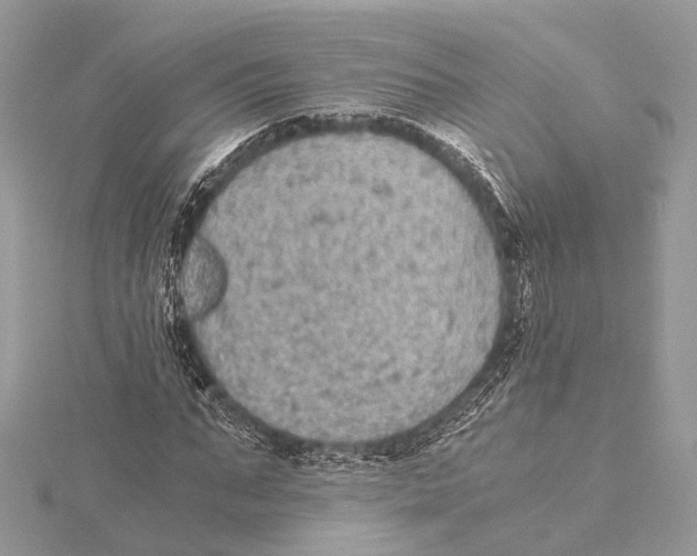 X0000115440871200912020943