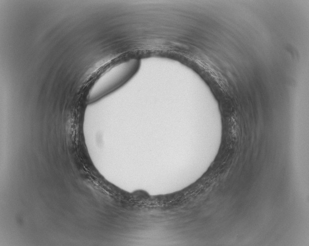 X0000115440872200912020943