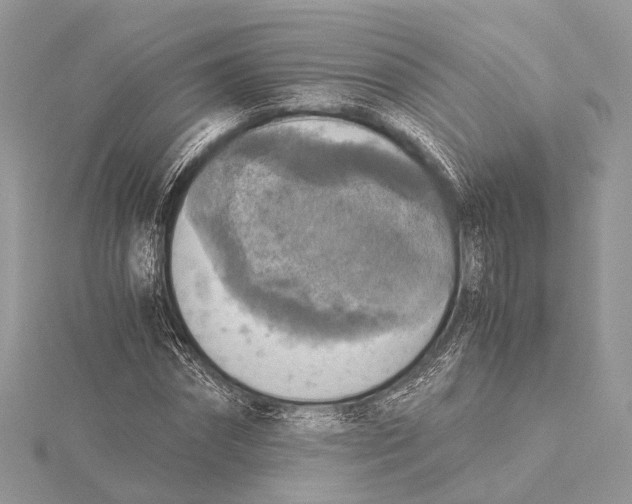 X0000115440874200912020943