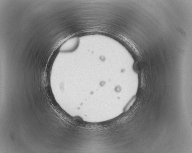 X0000115440876200912020943