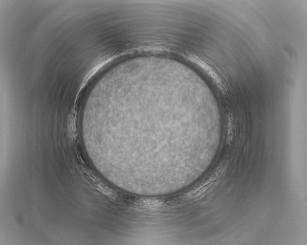 X0000115440878200912020943