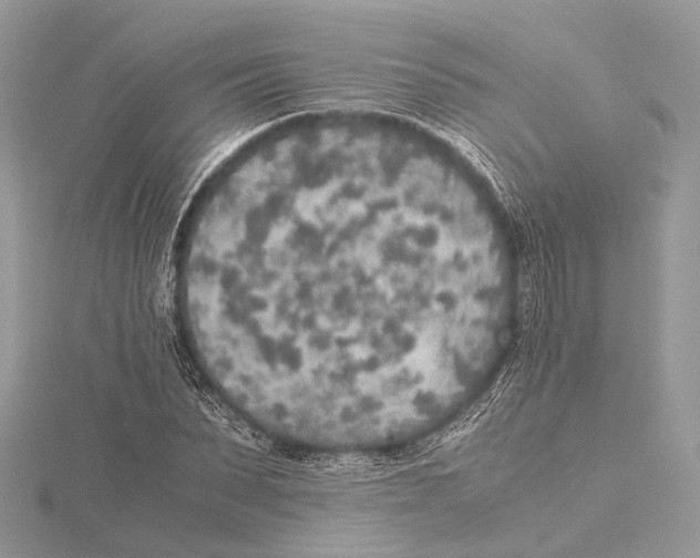 X0000115440879200912020943