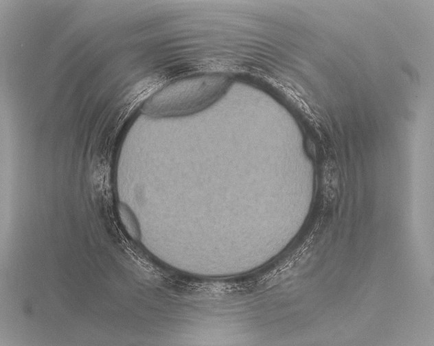 X0000115440881200912020943