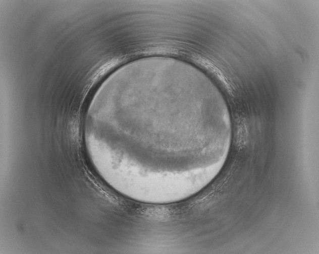 X0000115440882200912020943