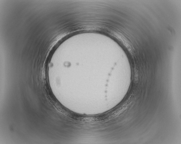 X0000115440883200912020943