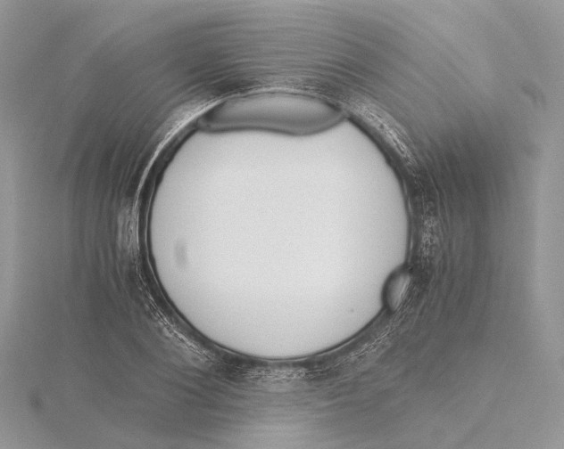 X0000115440884200912020943