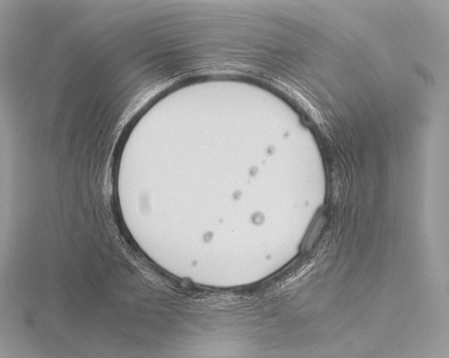 X0000115440885200912020943