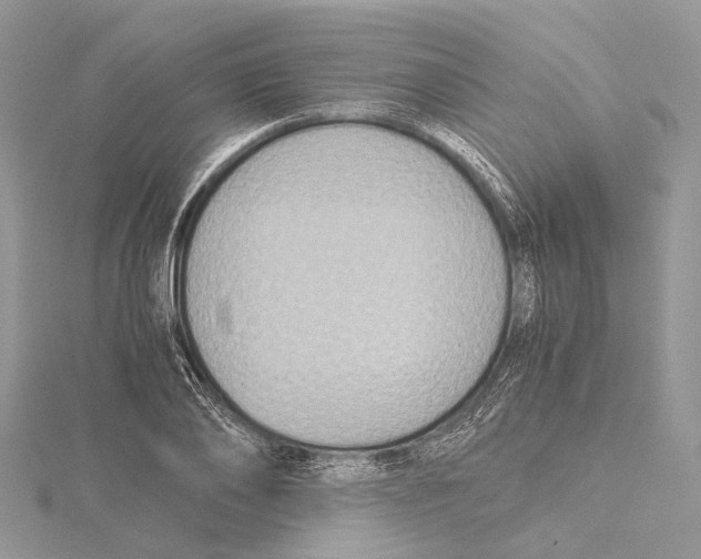 X0000115440886200912020943