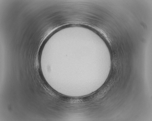 X0000115440887200912020943