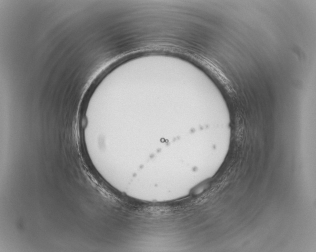 X0000115440888200912020943