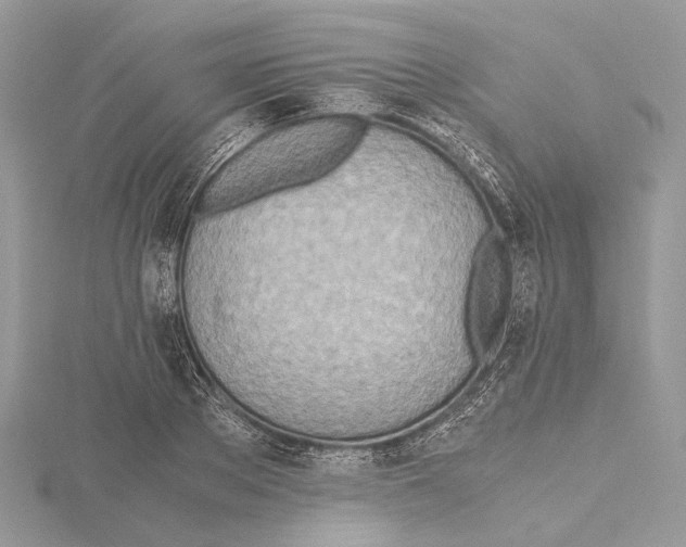 X0000115440889200912020943