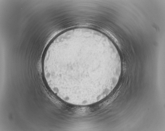 X0000115440891200912020943