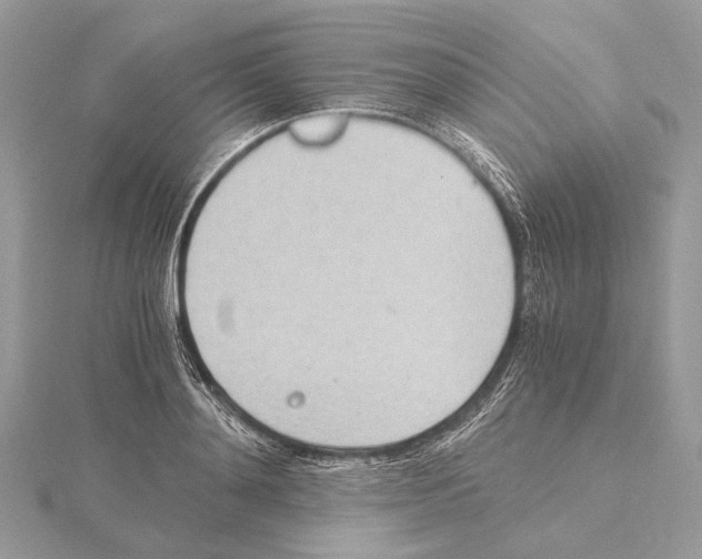 X0000115440892200912020942