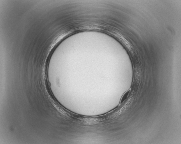 X0000115440893200912020942