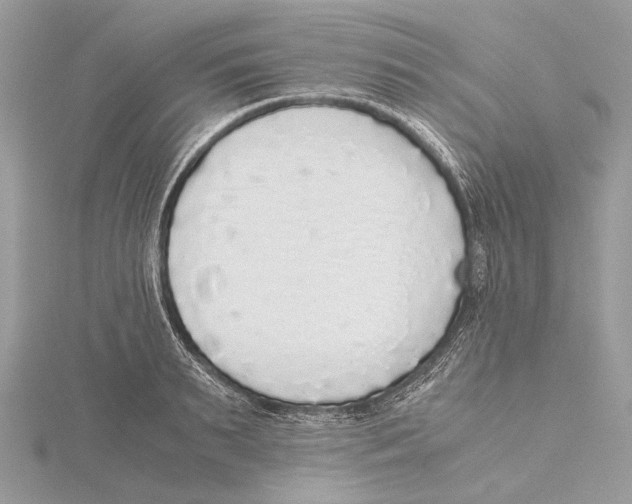 X0000115440895200912020942