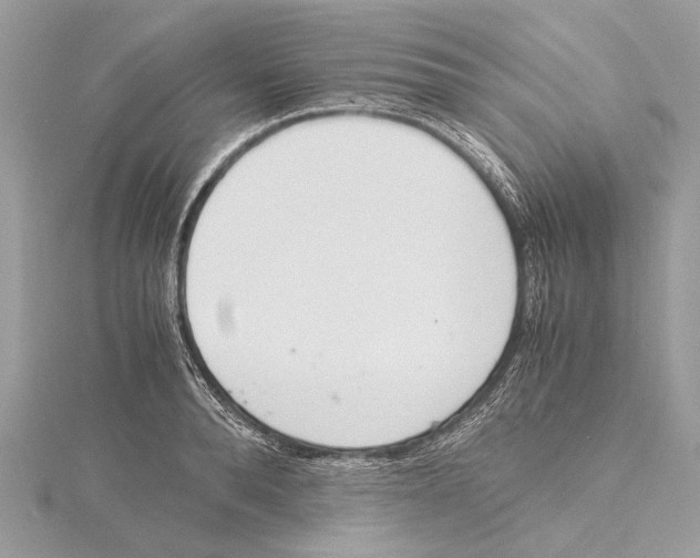 X0000115440896200912020942