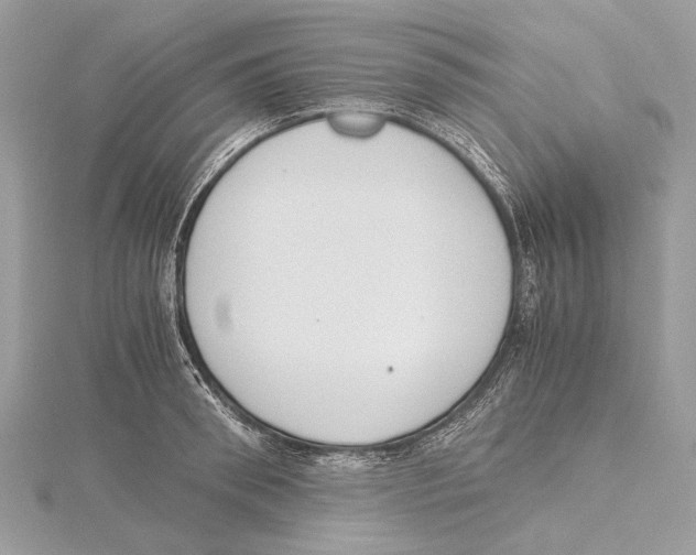 X0000115440898200912020942