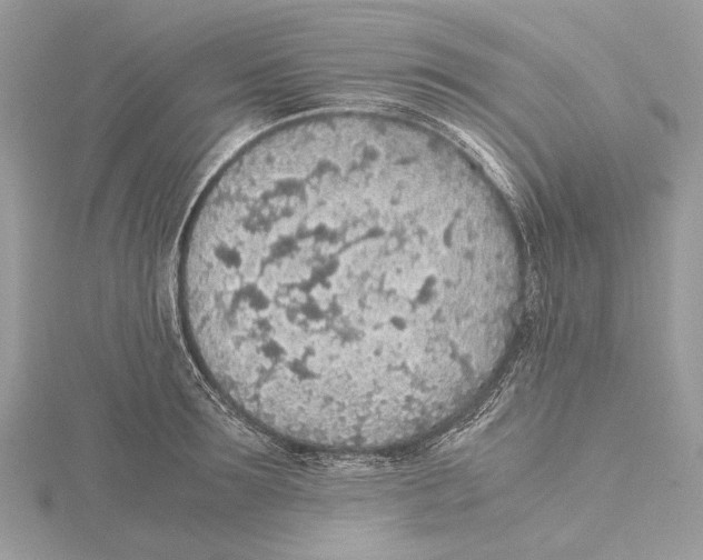 X0000115440899200912020942