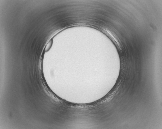 X0000115440900200912020942