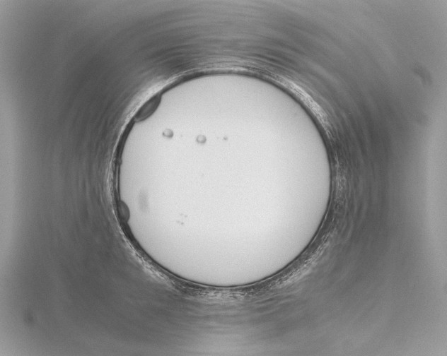 X0000115440901200912020942