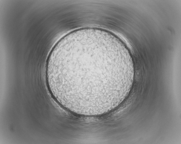 X0000115440903200912020942