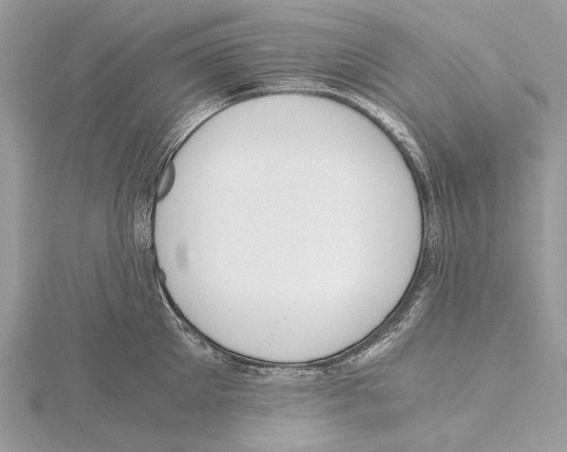 X0000115440905200912020942