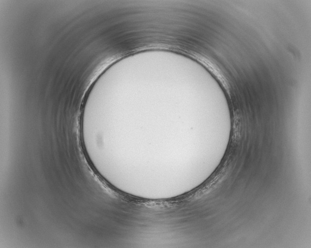 X0000115440906200912020942