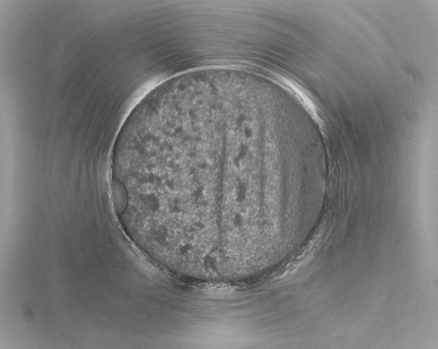 X0000115440907200912020942