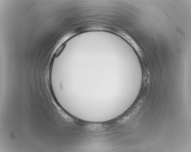 X0000115440909200912020942