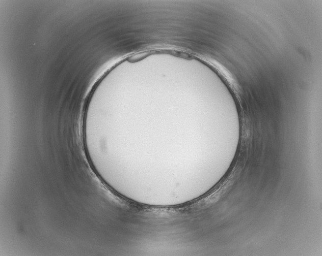 X0000115440910200912020942