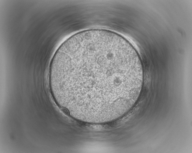 X0000115440911200912020942