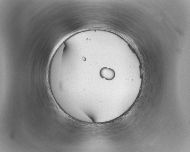 X0000115440912200912020942