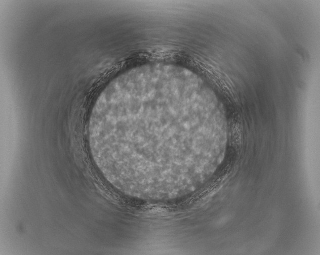 X0000115440913200912020941