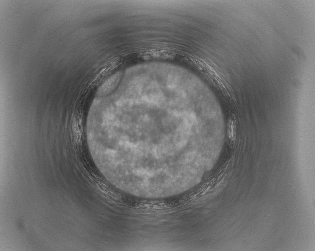 X0000115440915200912020941