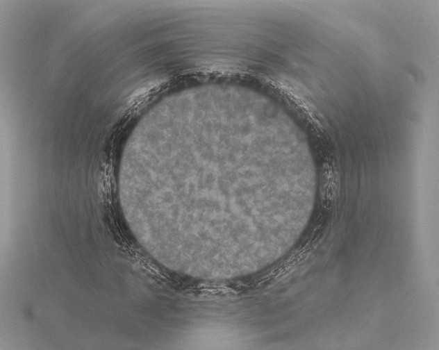 X0000115440918200912020941