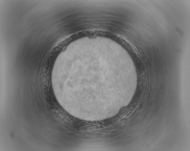 X0000115440919200912020941