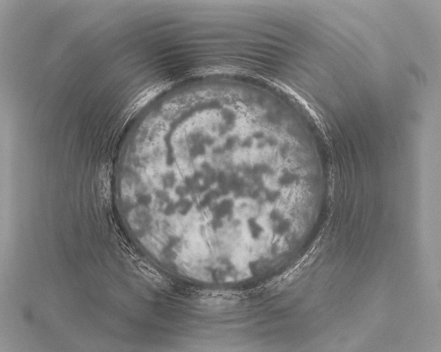 X0000115440921200912020941