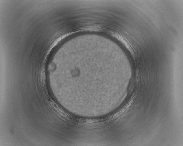 X0000115440923200912020942